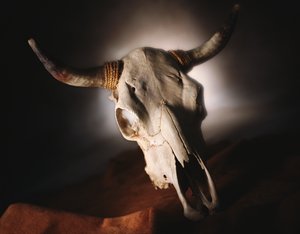 包頭市塑料有限責任公司